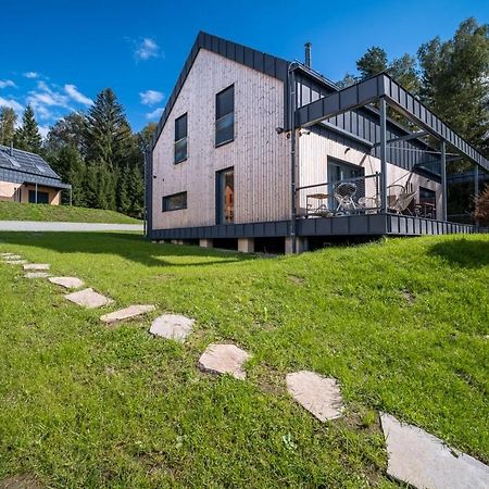Holiday House U Hajenky 13P Lipno Home Липно-над-Влтавой Экстерьер фото