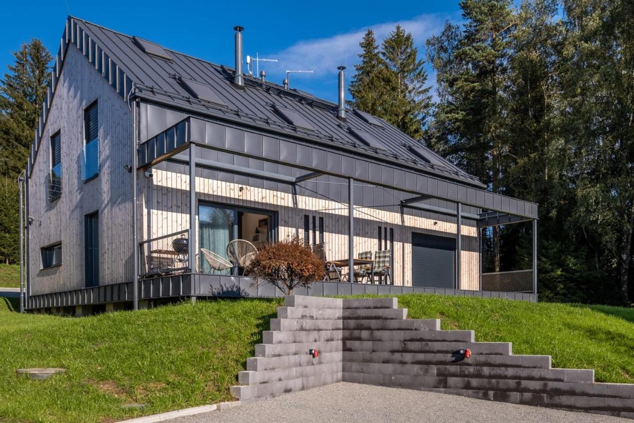 Holiday House U Hajenky 13P Lipno Home Липно-над-Влтавой Экстерьер фото